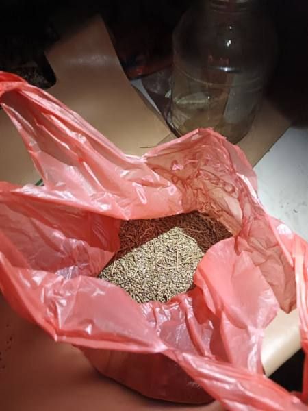 Более 300 граммов марихуаны обнаружили оперативники УНК республиканского МВД у ранее судимого жителя Саранска