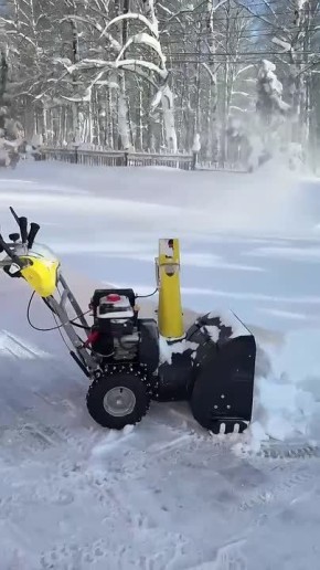 ������ ��������! ������� ����, ��� ���������� ���� ������� ������