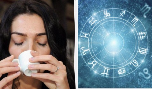 �������� ������������ �� �������: ������� ���� ��������� �������