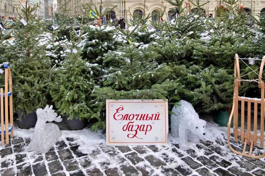 ��� ��������� ���������� ���� ������: ������ � ������������