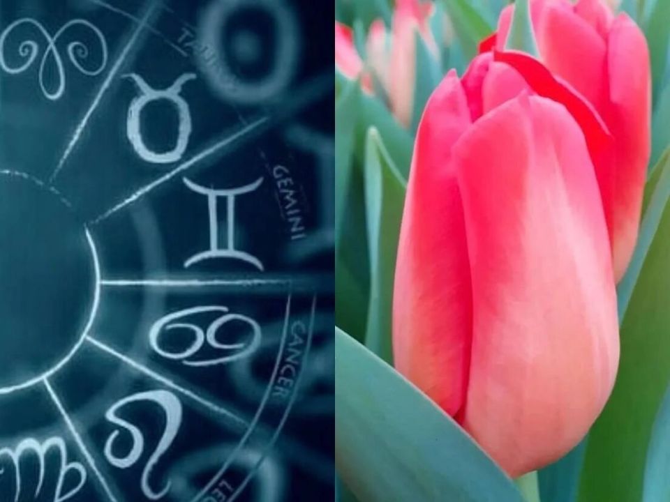 ����� ��� ������ �� ������ �������: ��� ������� �� 8 �����