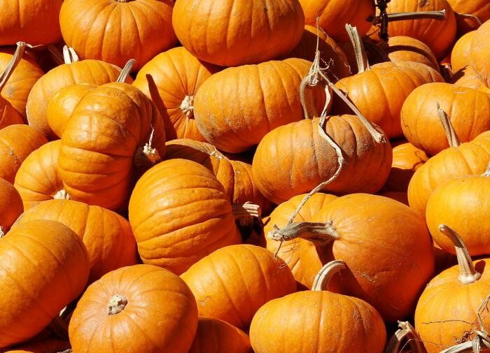 ��� �������� ���������� �����: ������� ������