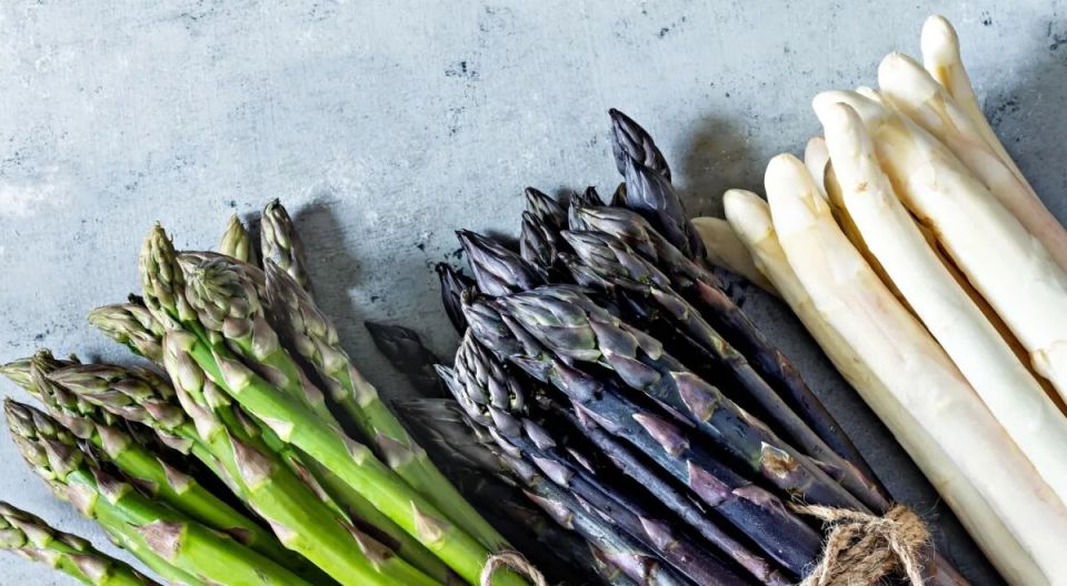 ������� ���������� �����: ��� ����������� ������ � �����