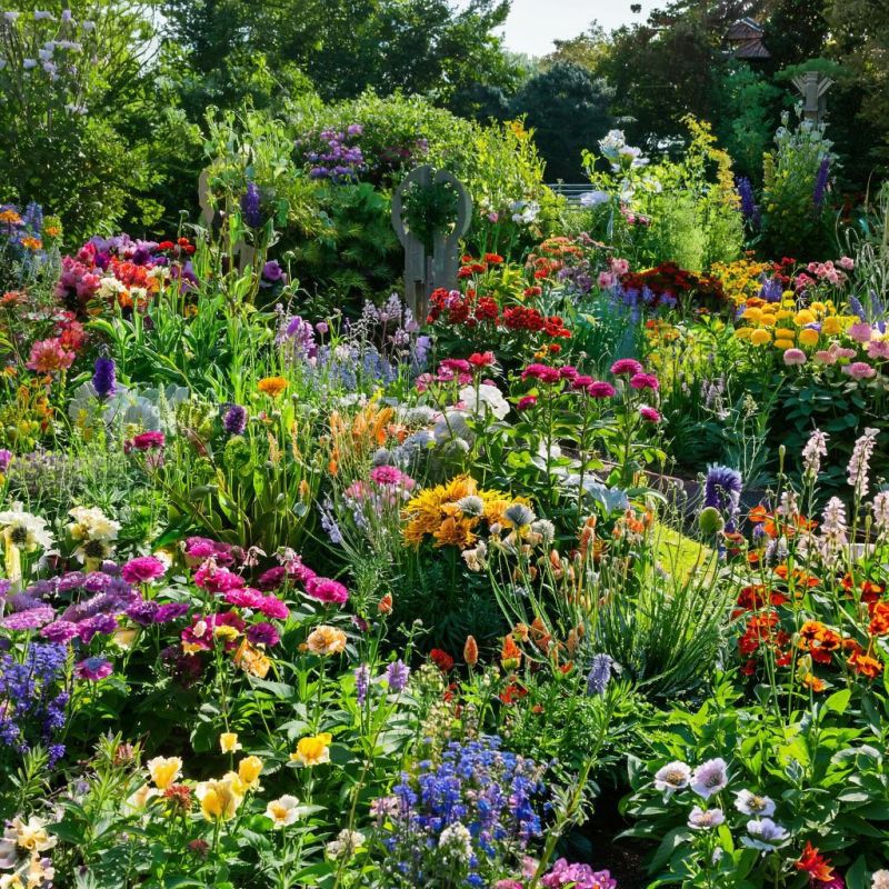 ������� ���������� ����: ���� ������������� ������� ��� ����������