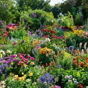 ������� ���������� ����: ���� ������������� ������� ��� ����������