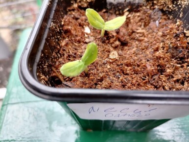 ����� ���� ������������ �������: �������� ������ ��� ���������