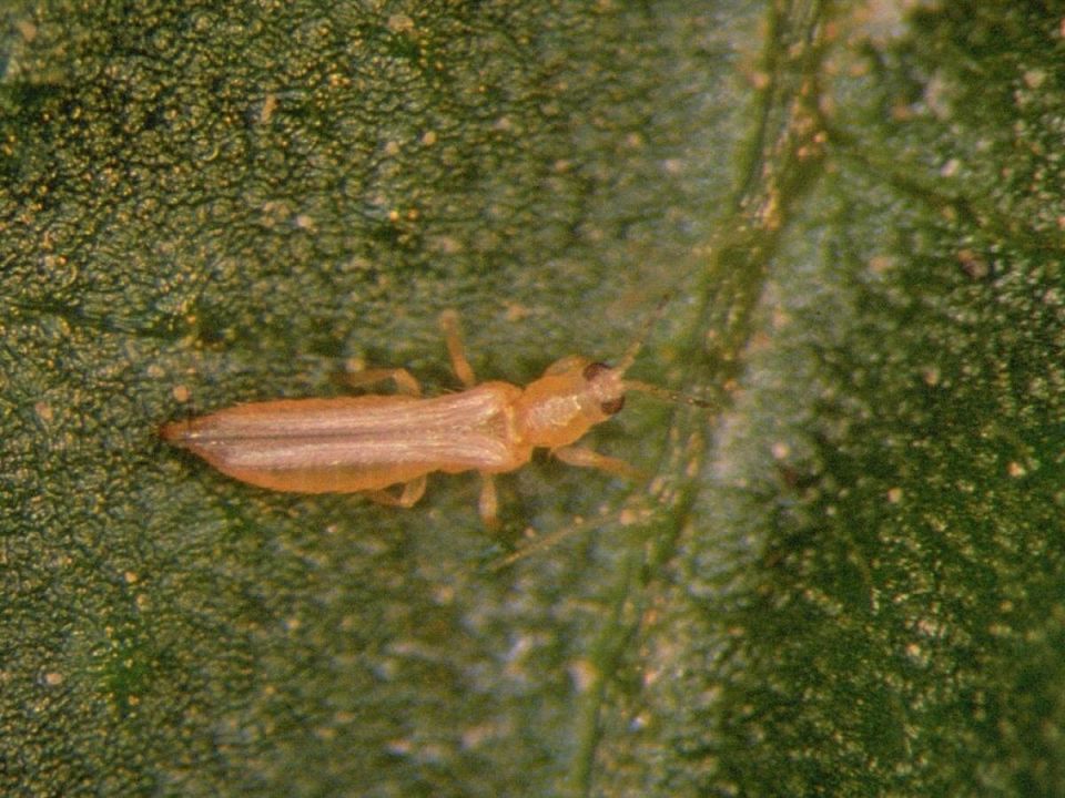 ����������� ������� ������ � �������� �� ���������