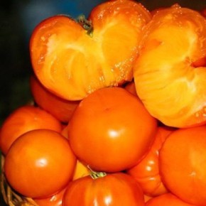 ������� �������� � ��������� �������� ������ �������� ������ ��� ������ ������