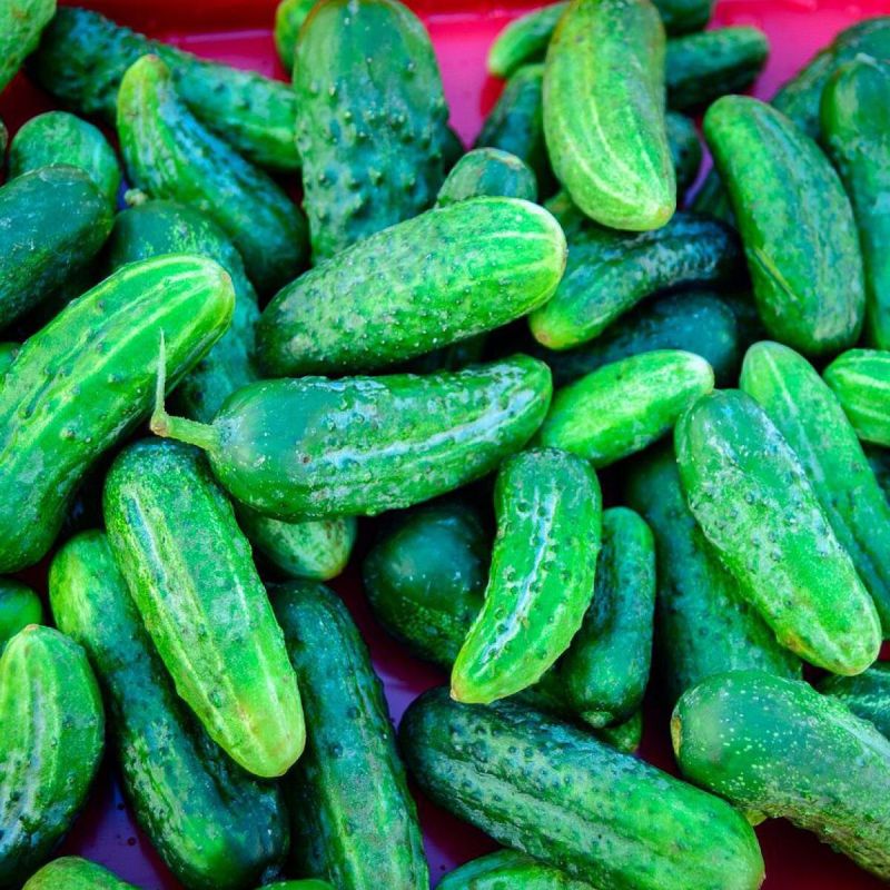 ��� ���������� ����� ������� ������� ��� ������ ��������