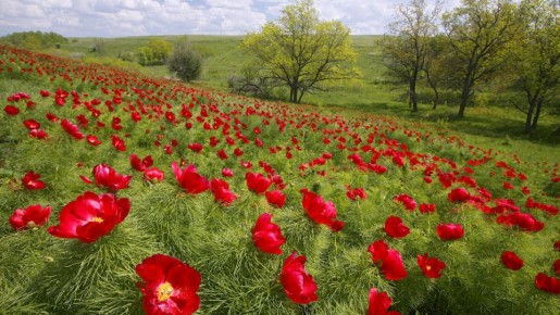 ��������� ����� ��� ��������� ������