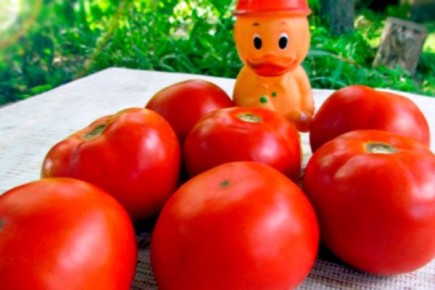 ������ �������: ������������� ����������� ��� ������ �������