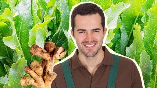 ���� ������ �� ����������� �� ����� �������: ������� ������� ������ ��� ������ ���