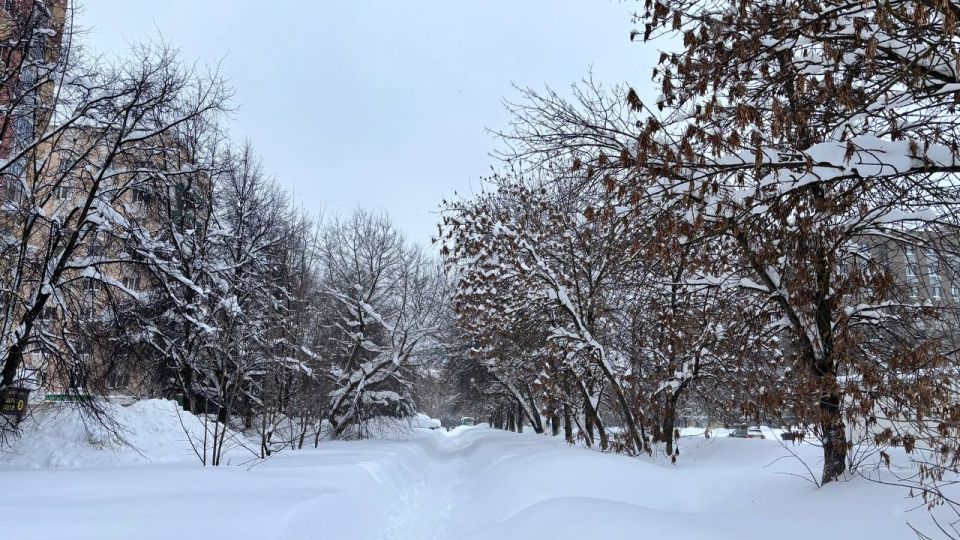 �� ���������� ���� � ������ ����������� ������ �� ����������������� � ����������� ���������� �����: