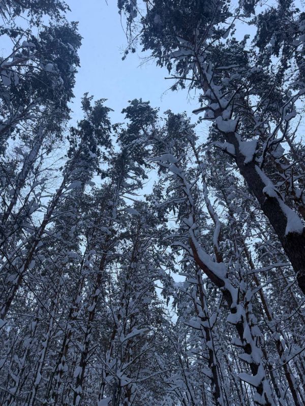 �� ���������� ���� � ������ ����������� ������ �� ����������������� � ����������� ���������� �����: