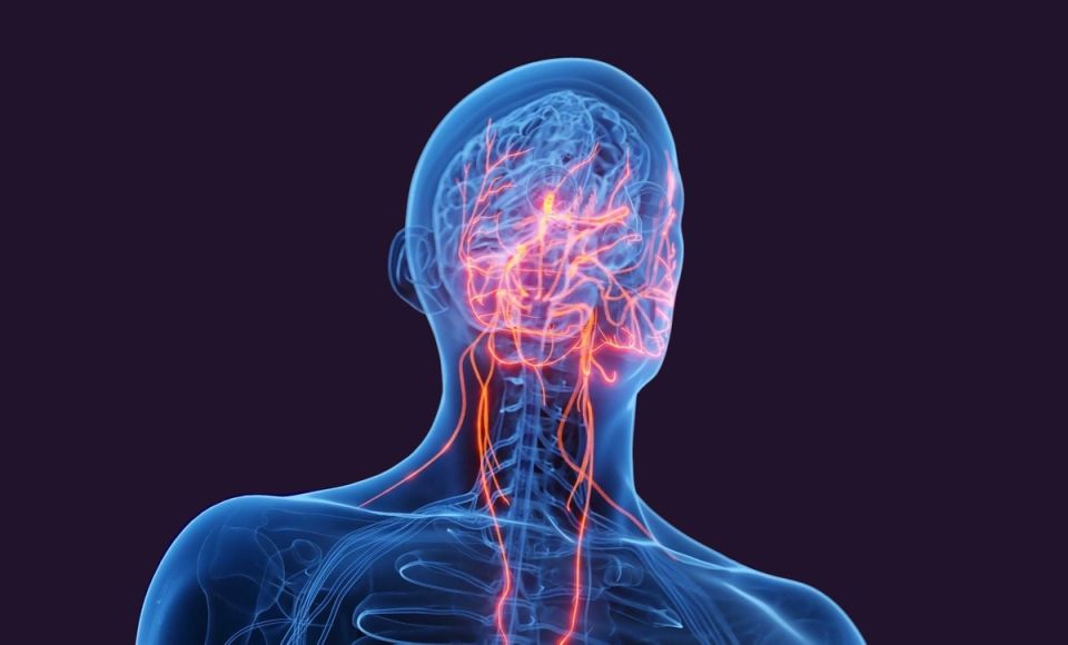 Как управлять вагусом: простые способы для здоровья