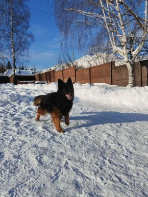 �� ����������� ����� ����������� ������ ������������ ���������� ��� �������� - ������� ������� � ����������!