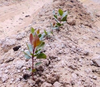 ��� ������� ���������� ���������� ������������ ����������� ������������� ��������