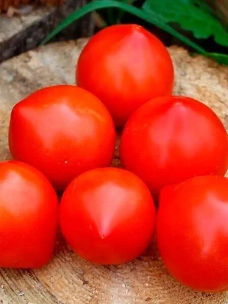 ����� ����� 18: ������ ������ � �������� ����� �� �����