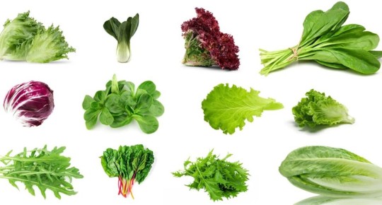 ������� ������: ������������ ������ � �������� �������