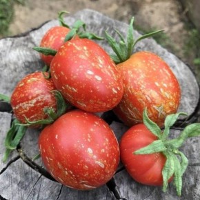 ����� ������ ����: ������� ��������� ������