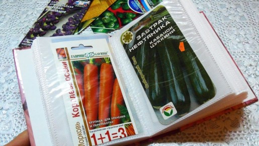 ��� ��������� ������ �� �����: ������� ��������� ��������