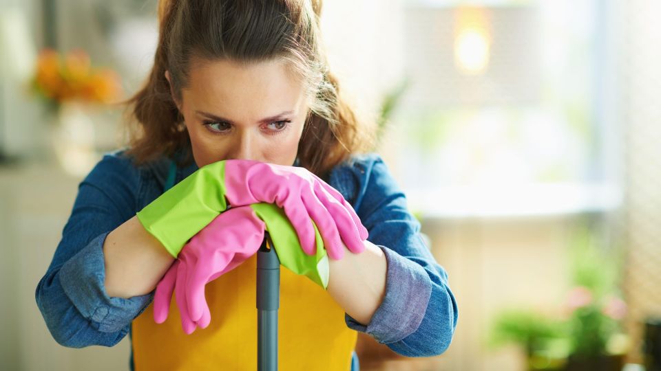 �� �������� ��������� �������� �����������: �������� �������� �� ���� �����