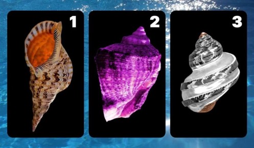 ��� ������� ��������� �������, ����� ������ ������� �������