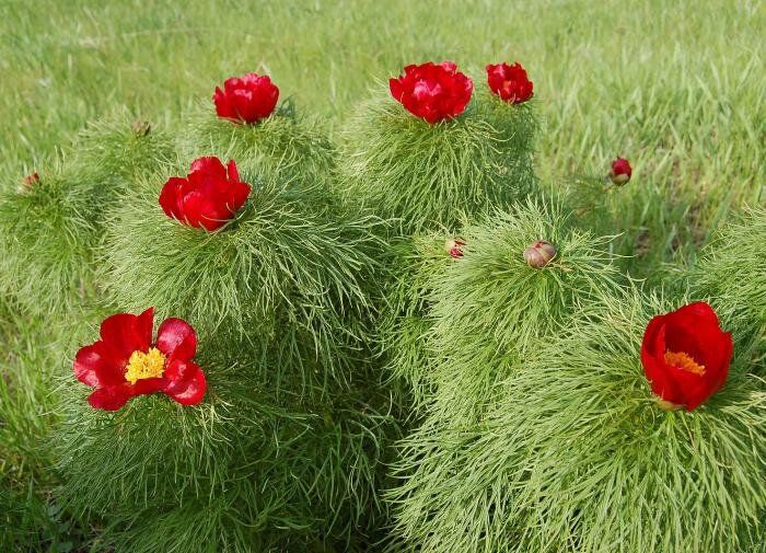 ������������ ������� ������ ����� ��������