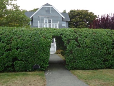 ��� ����� ����� �������� � ����� ��� �����?