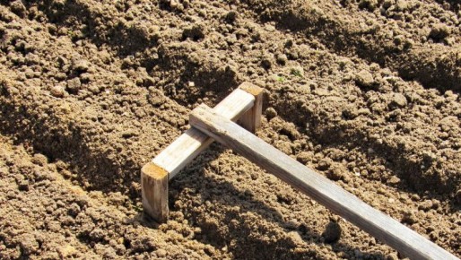 ������� �������� ������� ������� �������: ���������� � ����