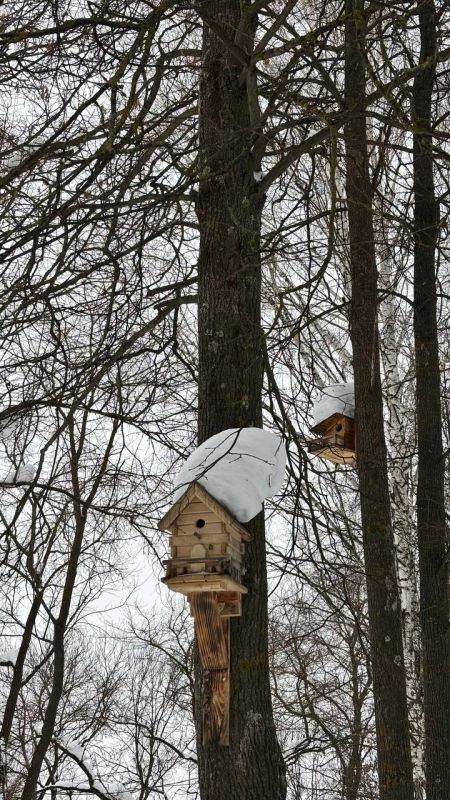 �� ���������� ���� � ������ ����������� ������ �� ����������������� � ����������� ���������� �����: