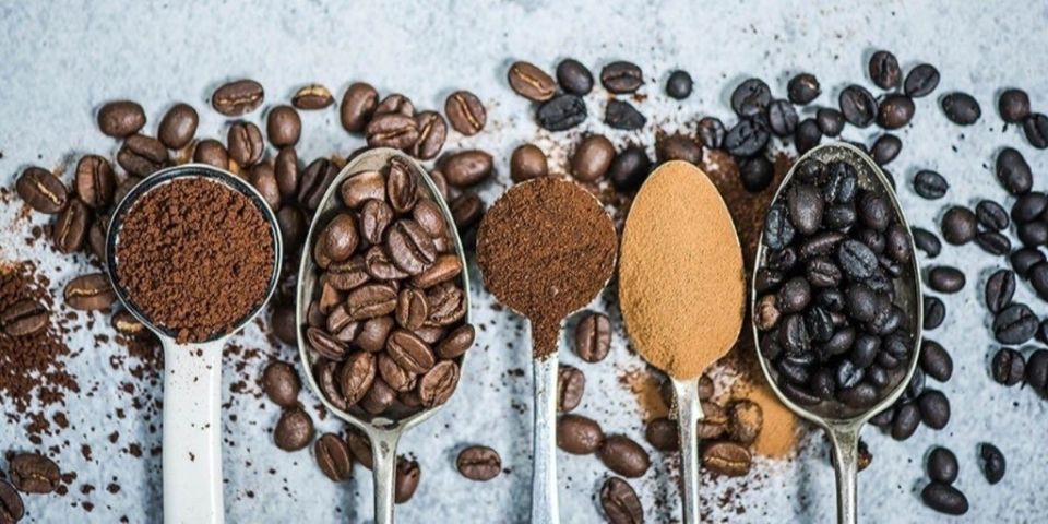 ������ �� ������������ ����: ����������� � ������ � �����������