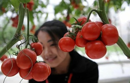 ��������� ����������� ������: ����� ��������� ������������