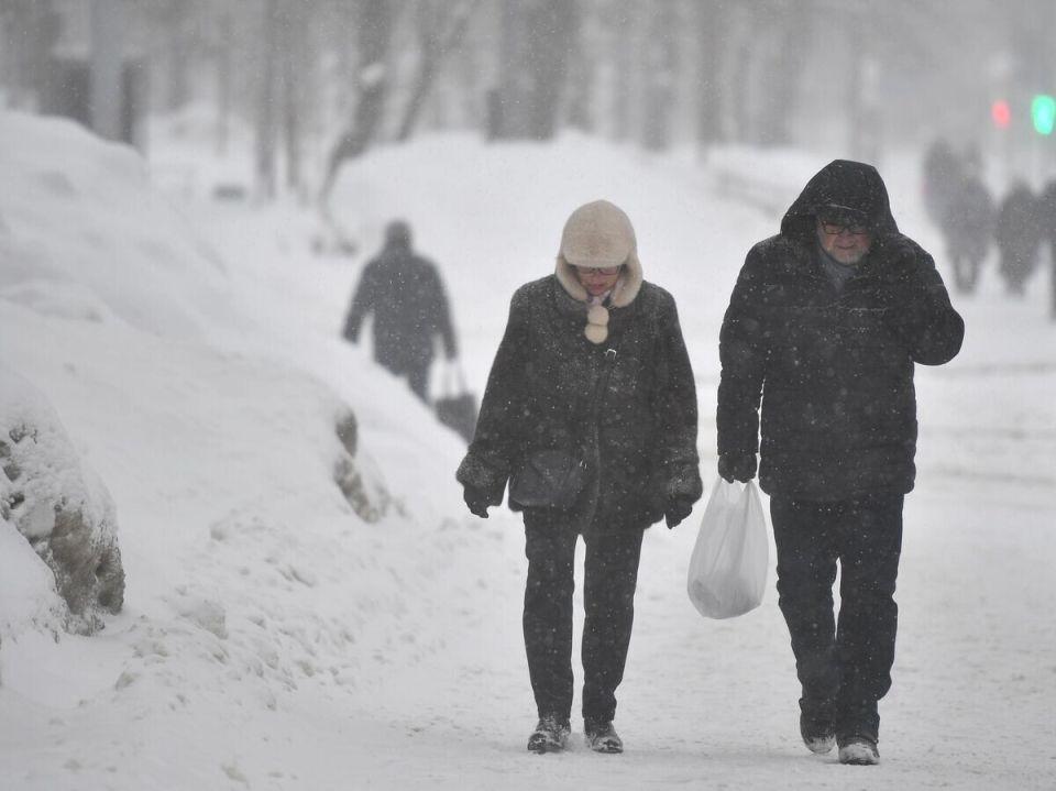 Число пенсионеров в России превысило 40 миллионов