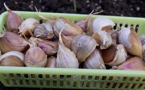 ����������� ������ ������� � ������ �������: ������� ���������� � �������