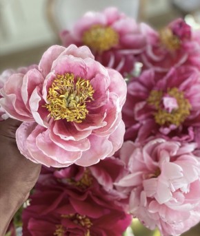 Сахарные цветы: создаём удивительное искусство на кухне