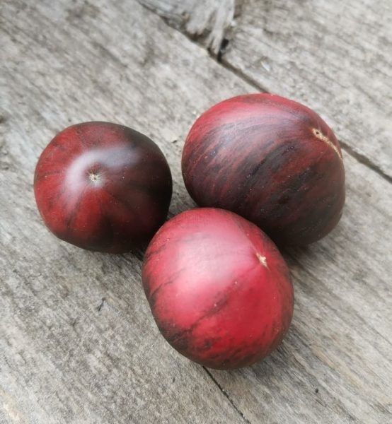 ����� ����� ���������� �����: ������������ ����� � ���������� ���� ��� ����� ������