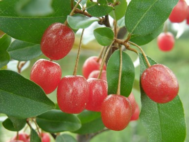 ����: ����������� ��������� � ������ �������, � ������� ����� �����