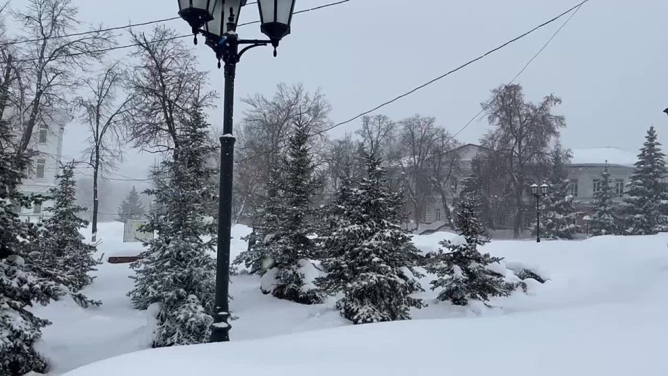 �� ���������� ���� � ������ ����������� ������ �� ����������������� � ����������� ���������� �����: