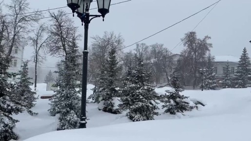 �� ���������� ���� � ������ ����������� ������ �� ����������������� � ����������� ���������� �����: