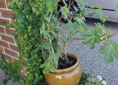 ������������: ��� �������� �������� ���������� �������