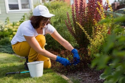 Секреты профессионального ухода за садами: лучшие инструменты для вашего участка