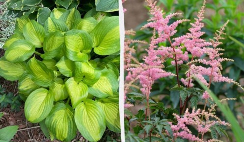 ������ �������� ��� �������� ������� ������ ����