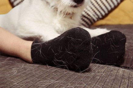 ������ �� ������ �������� �������� �� ������? ���� ������� ���� ������� �������� ������ ��������!