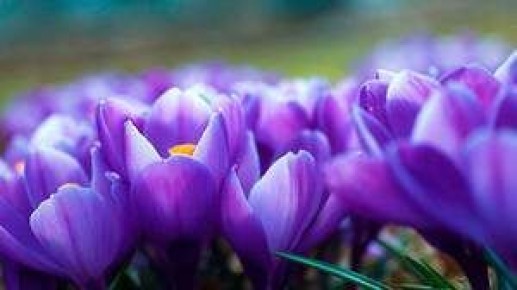 ������: ������� ����� � �������� �������