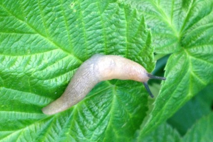 ���������� � ����������, �������� ������ ������ �� ��������! �� ������� �������. ��������� ��������, �� ������� ���-��!