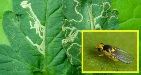 ����� ������� �� ������� ������� � ������ ������. ��� �������� � ���������� �����