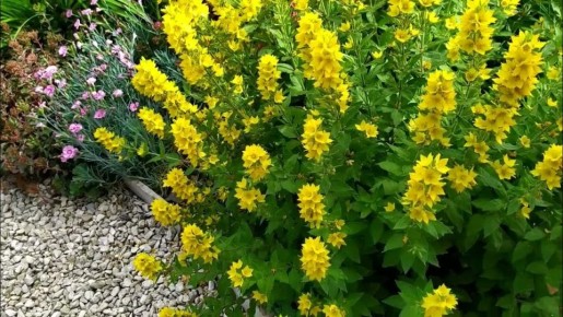 ��� � ����� � ����������� ���������: 10 ����������� ��� ������ ������� �������