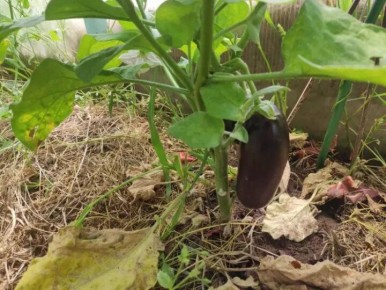 ������� ����� �� �����������: ��� �������� �������� ������� � �������� ��������� ������