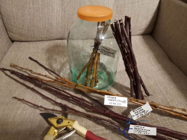 ��� ��������� ���������� �������� ��� �������� ������������ �������� ��������